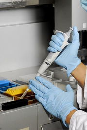 莱茵技术商检青岛食品实验室 技术交流与创新发展